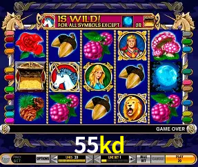 VIP Casino 55kd